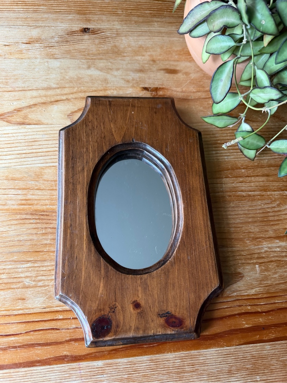 Wooden Oval Accent Wall Mirror in Brown